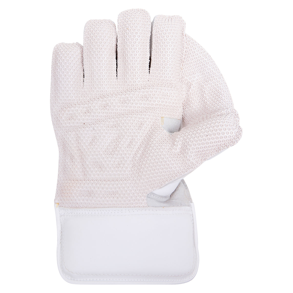 Wicket Keeping Glove