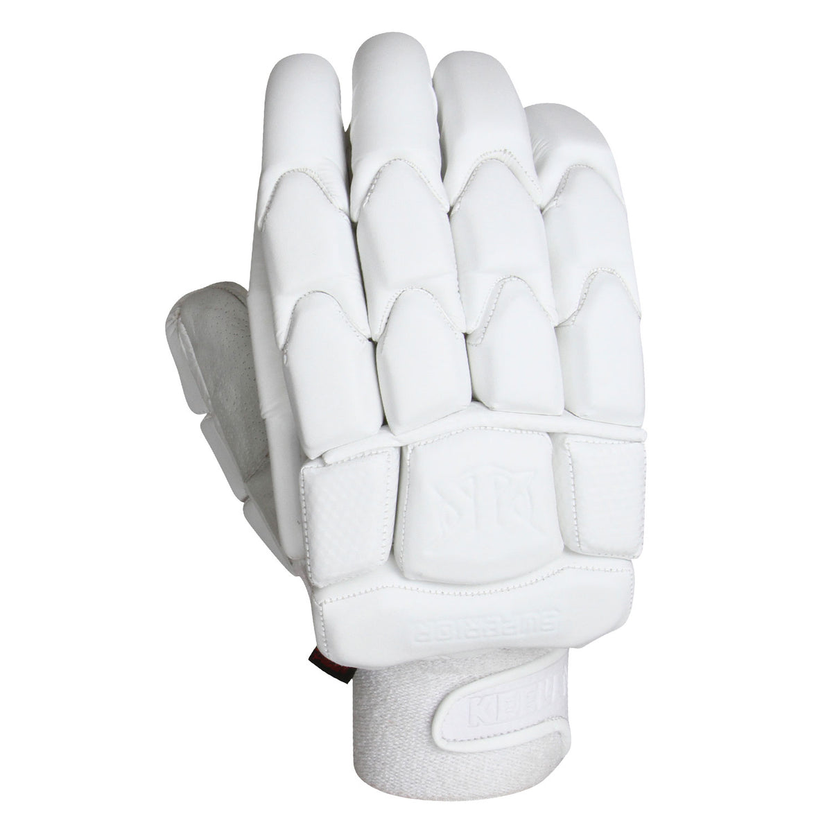 Gloves for men cricket online